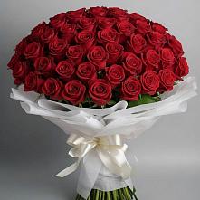 Букет 101 Красная роза Блэк Мэджик #REPLACE_PRED# Отрадное