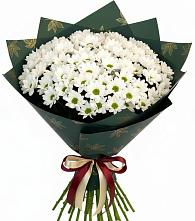 Букет цветов из:  Хризантемы #REPLACE_PRED# Отрадное