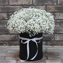 Цветочная композиция из Гипсофила в шляпной коробке #REPLACE_PRED# Отрадное