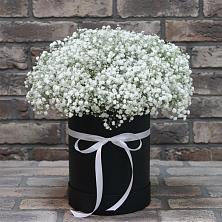 Цветочная композиция из Гипсофила в шляпной коробке в Отрадное