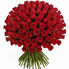 Букет Красные розы Чери Лав #REPLACE_PRED# Отрадное