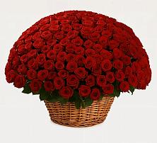 Премиум букет из: Розы в Отрадное